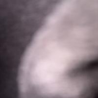 69dffcd0063ed_image.jpg